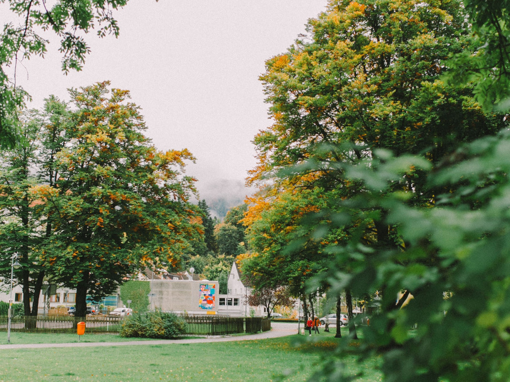 Park with trees 