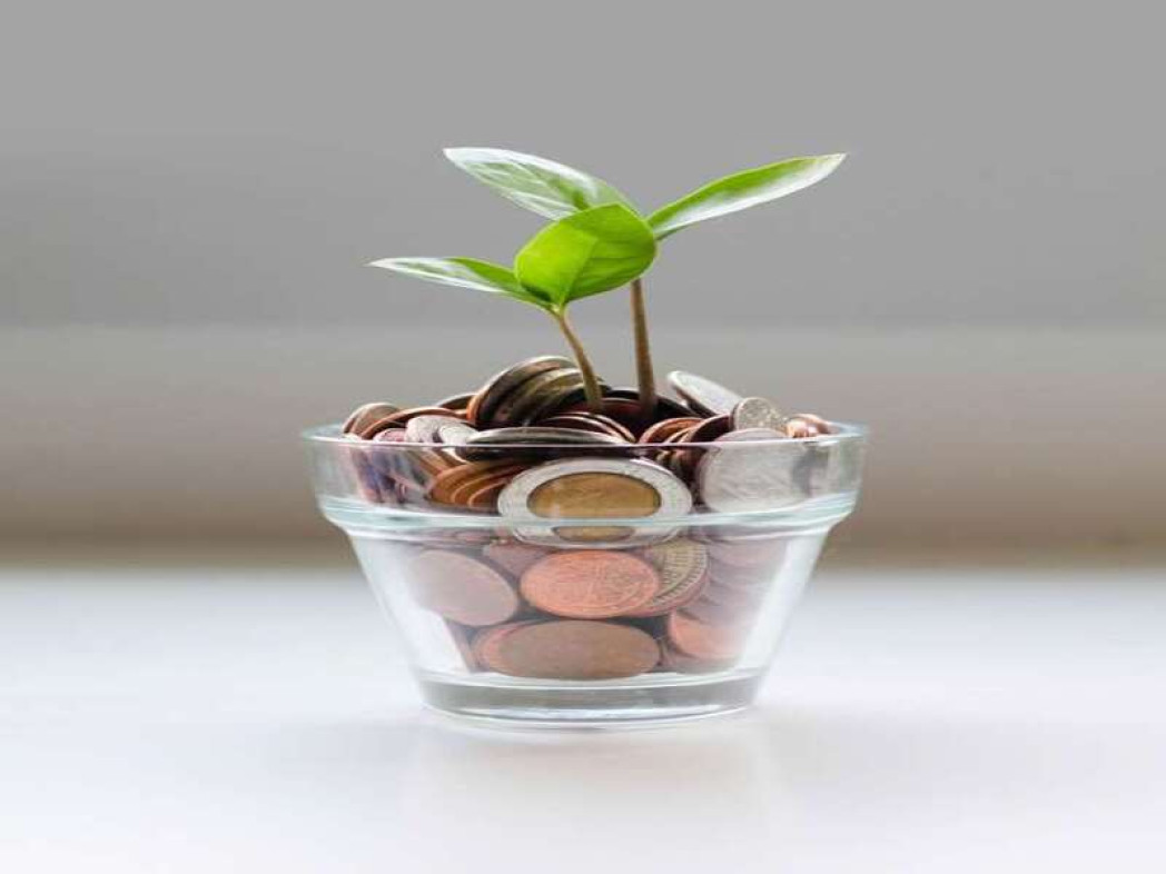 plant and money