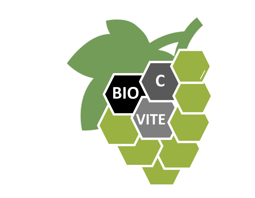 vite, biochar,