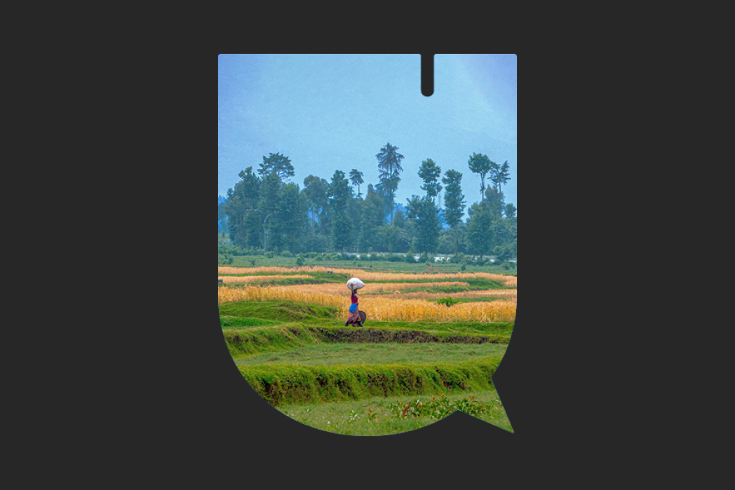 Una donna che cammina attraverso un campo verde lussureggiante