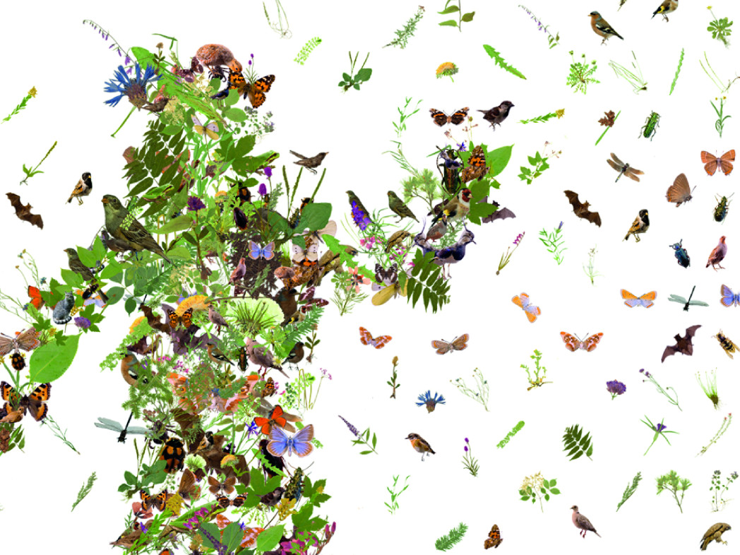 Flyer of the interactive installation “echoed nature” on Biodiversity, Trivialization and Neobiota