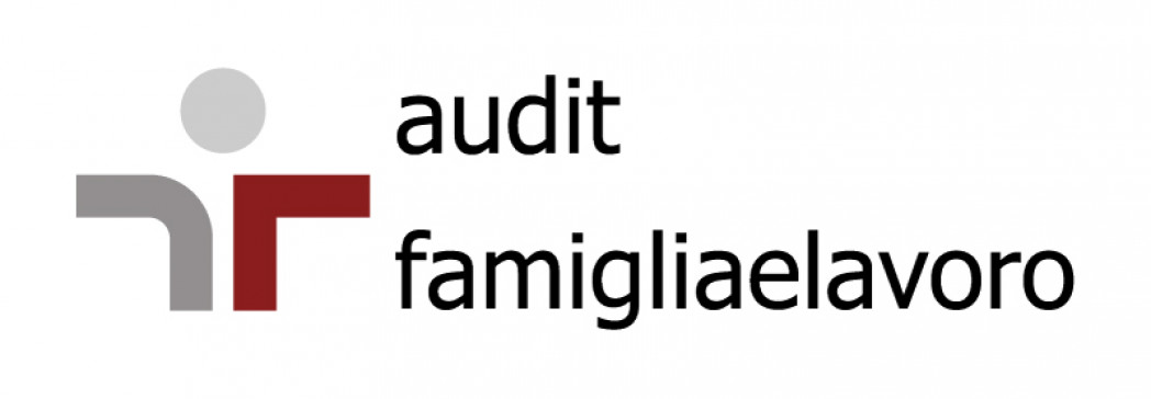 audit it