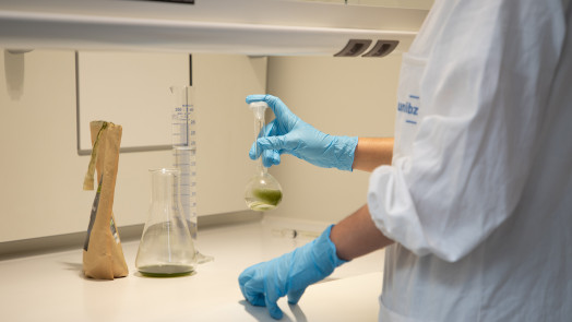 1. Fermentation copy