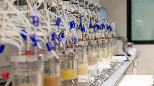 2022 11 19 Open Day NOI Techpark 203