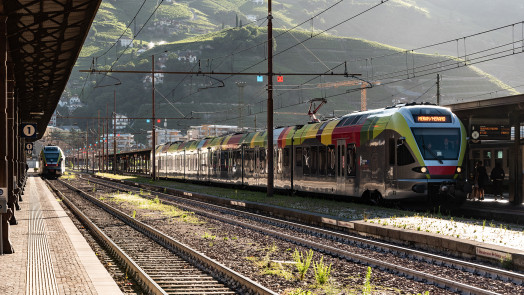 IDM Suedtirol STA Manuela Tessaro copy