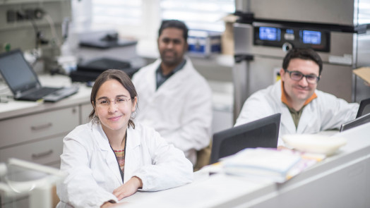 PhD applicants unibz