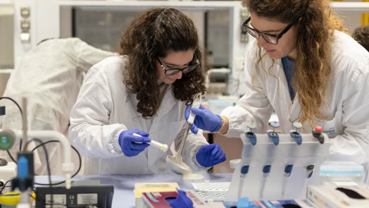 2023 11 30 Food Sciences for Innovation and Authenticity 4636