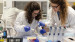 2023 11 30 Food Sciences for Innovation and Authenticity 4636