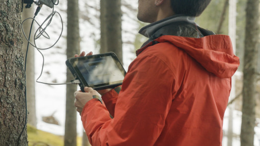 Analysis and Management of Mountain Ecosystems copy