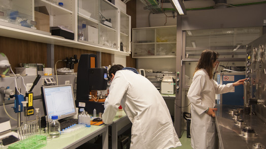 2017 03 16 tecnologo alimentare