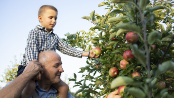 Zwischen Ertragssteigerung und Enkeltauglichkeit