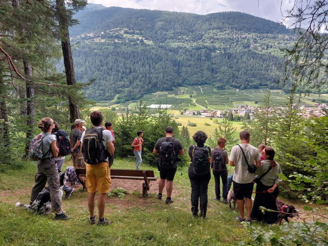 Uscita sul territorio durante uno degli eventi organizzati nell'ambito del progetto.