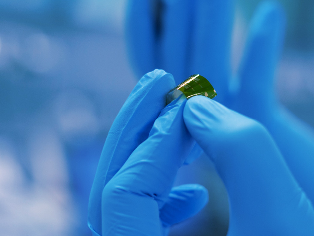 A hand wearing laboratory gloves holds a small object between its fingers.