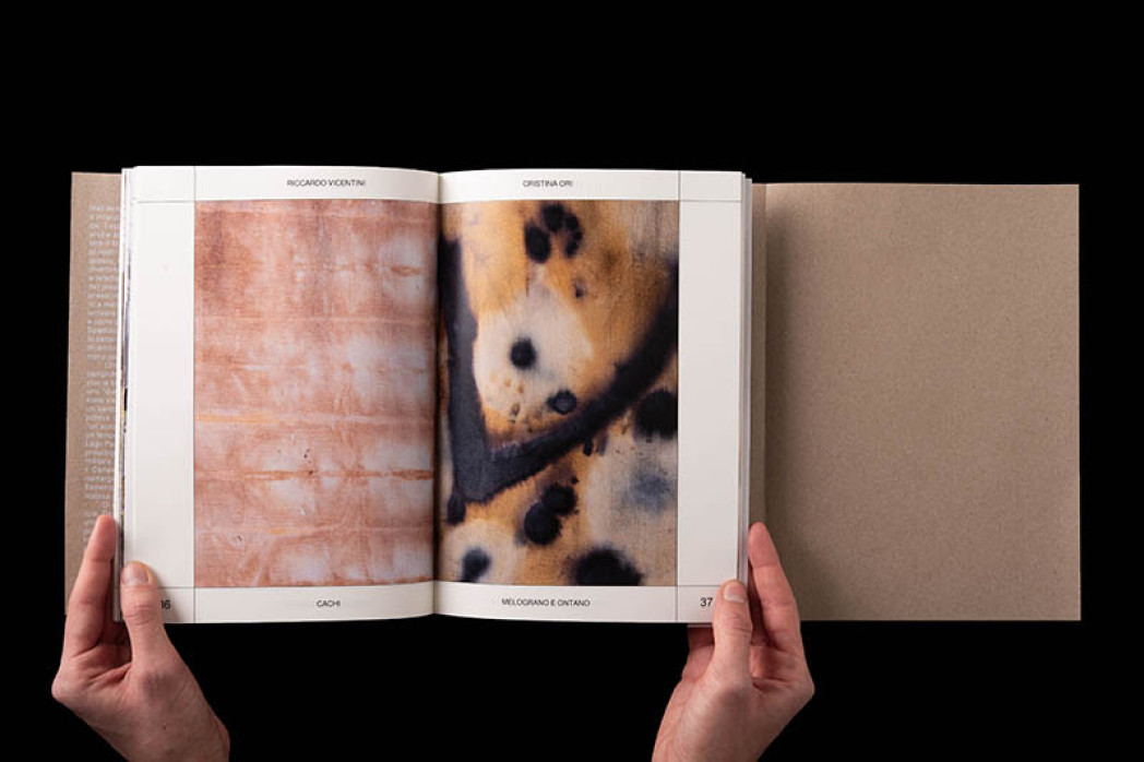 Due mani tengono un libro aperto