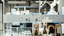 Filiera vitivinicola. Bolzano ospita il convegno internazionale MACROWINE 2025 