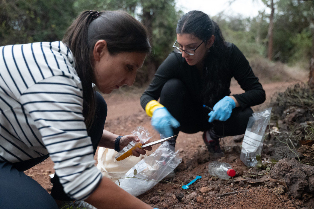 Prof.in Tanja Mimmo und Forscherin Maria Landolfi bei einer Probennahme auf den Galápagos. Foto: unibz (Matteo Vegetti)