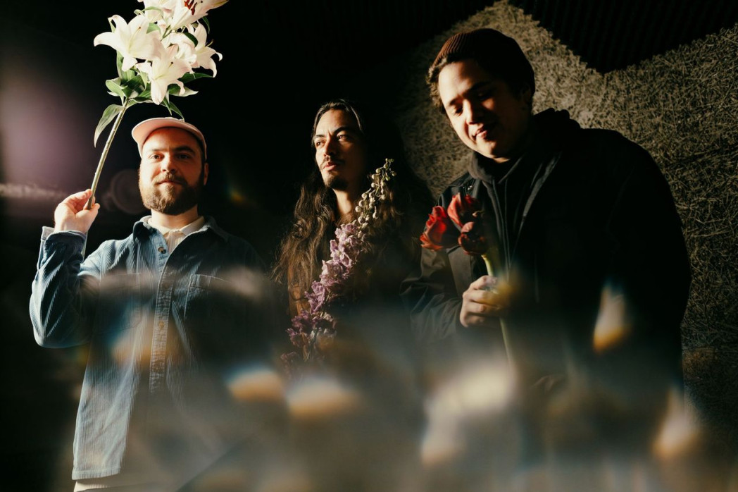 Drei Männer halten je eine Blume in der Hand