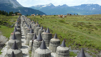 Grenzlandschaften. Erinnerungen. Identität und aktuelle Grenzfragen