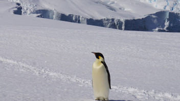 Ai confini del ghiaccio. Ricercatori raccontano il loro viaggio in Antartide 