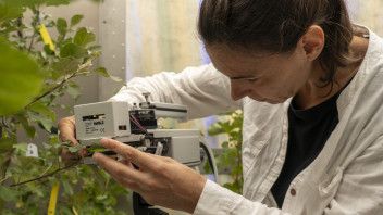 Gli agricoltori digitali si formano nel nuovo Master di unibz