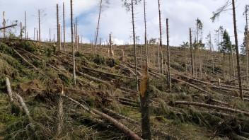 Extremwetterereignisse und Anpassungsstrategien: Konferenz am Campus Bozen