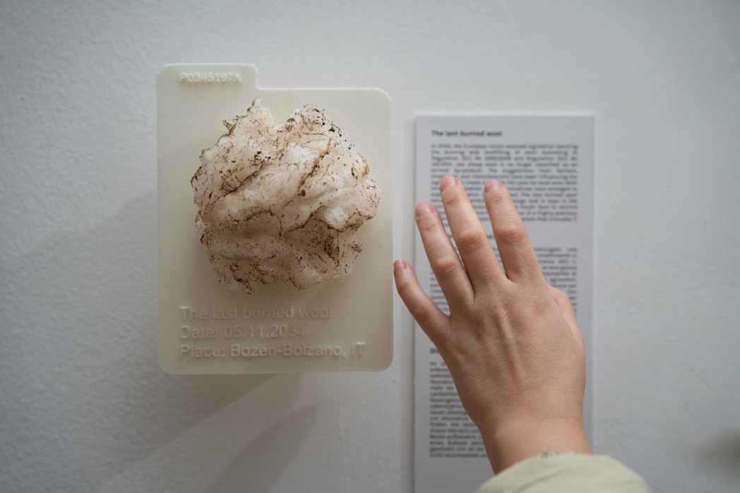 Eine Hand nähert sich einer künstlerischen 3D Installation, die ein Stück helle, leicht verschmutzte Schafwolle auf einer weißen Tafel zeigt.