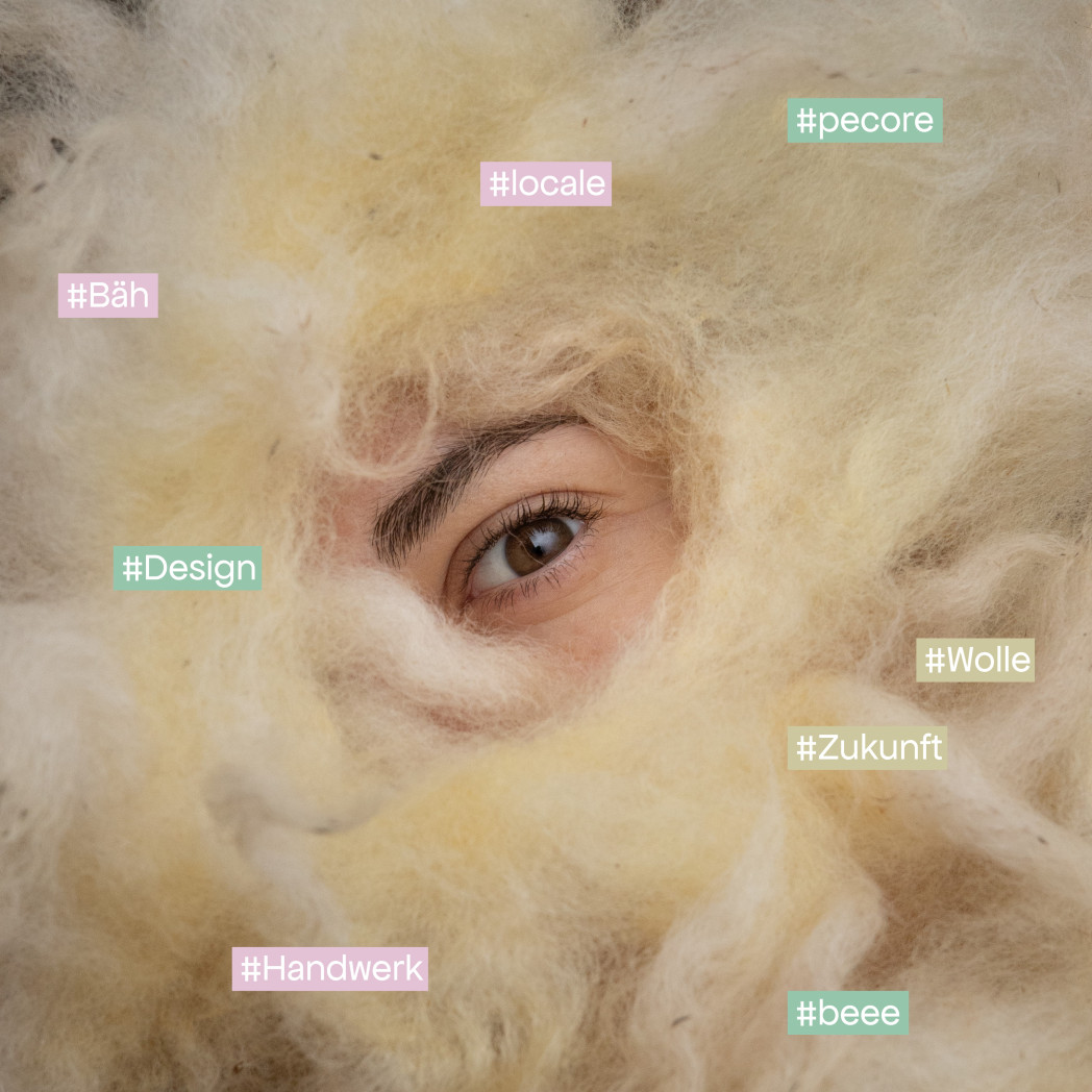 Pecora bianca sul pascolo.