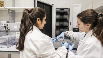 unibz unter Italiens Top 3: MINT-Geschlechterlücken werden kleiner