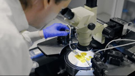 Materials and Devices for Smart Systems (MDSS) | Research Macro Area