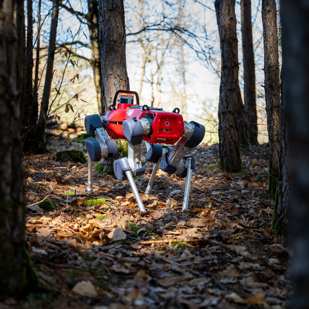 Robot quadrupede nel bosco.