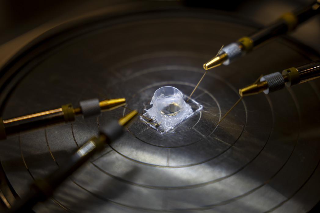 Un'immagine del sensore "ghostbuster".