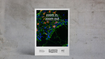 Zoom In / Zoom Out. Il nuovo numero della rivista Academia
