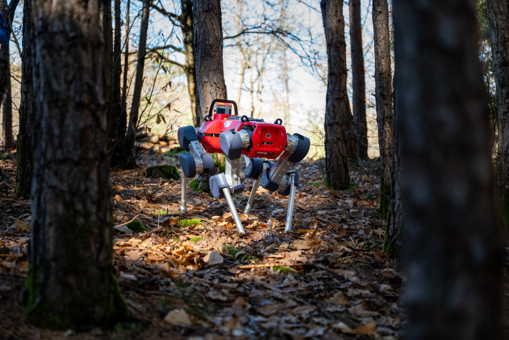 Ein zoomorpher Roboter im Einsatz im Wald - auf Laubboden und zwischen Baumstämmen.