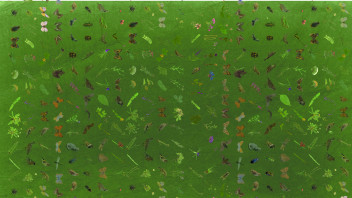 La biodiversità che cambia in Alto Adige. unibz presenta la mostra Echoed Nature