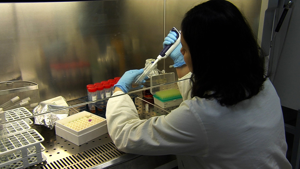 Una persona in camice da laboratorio lavora a un banco e utilizza una pipetta con guanti per trasferire liquidi in contenitori di campioni.