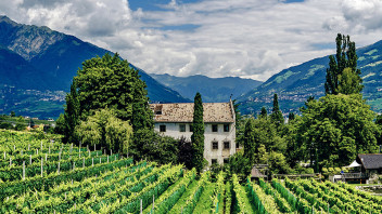 Dialoghi sugli ecosistemi montani tra arte e scienza