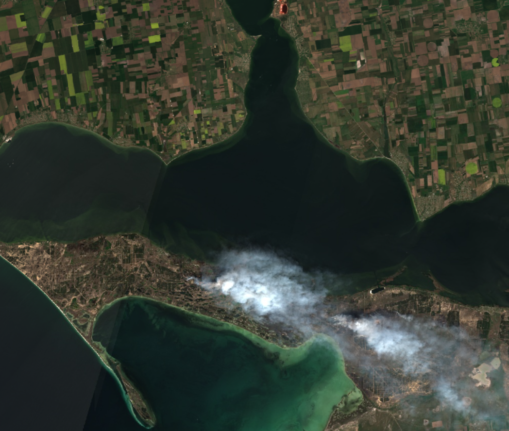 Immagine satellitare di un incendio nei pressi della città di Kherson. Foto: Global Ecology and Conservation Journal