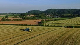 Coltivare il futuro: l’intensificazione sostenibile per l’agricoltura italiana