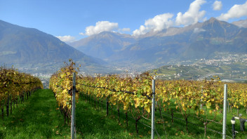 Unravelling the Secrets of Cover Crops