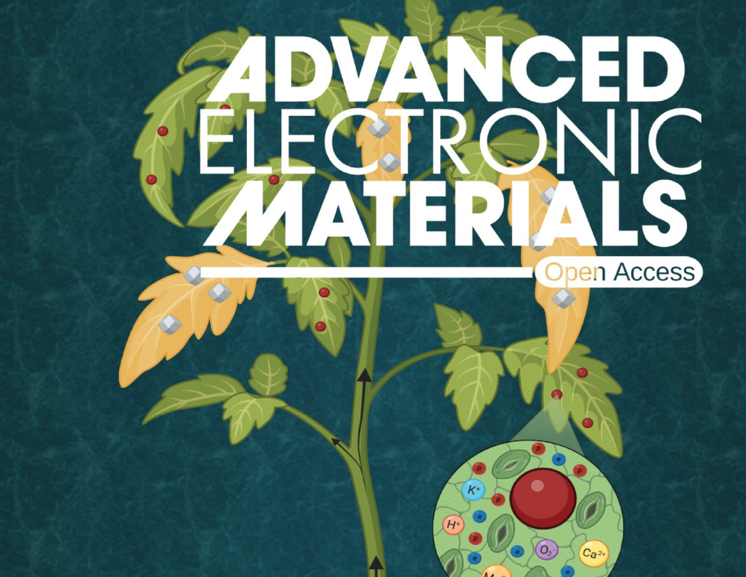 Illustrazione di una pianta con componenti elettronici; titolo della rivista “Advanced Electronic Materials”, open access.