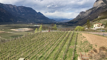 Nuove mentalità per nuove varietà