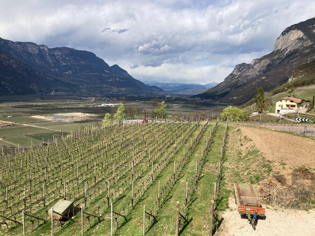 Alcuni dei vigneti in Alto Adige analizzati durante il progetto SUWIR.