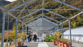 The new research glasshouse