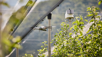 Rilevamento digitale a distanza per le malattie delle piante