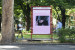 Un manifesto di Diplorama affisso in una via di Bolzano (foto Andrea Maffei).