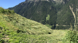 Ultime due conferenze su agricoltura di montagna e legislazione a protezione degli animali