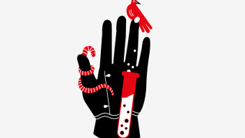 Vom Wurm bis zum Laborfleisch: Infoabend zu Fleischersatzprodukten