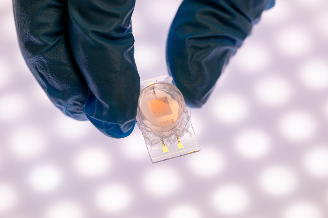 The sensor used for nanoplastics detection. 