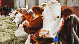 EU-Projekt zur Förderung landwirtschaftlicher Kleinbetriebe