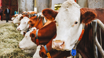EU-Projekt zur Förderung landwirtschaftlicher Kleinbetriebe